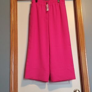 J Crew Wide Leg Pants